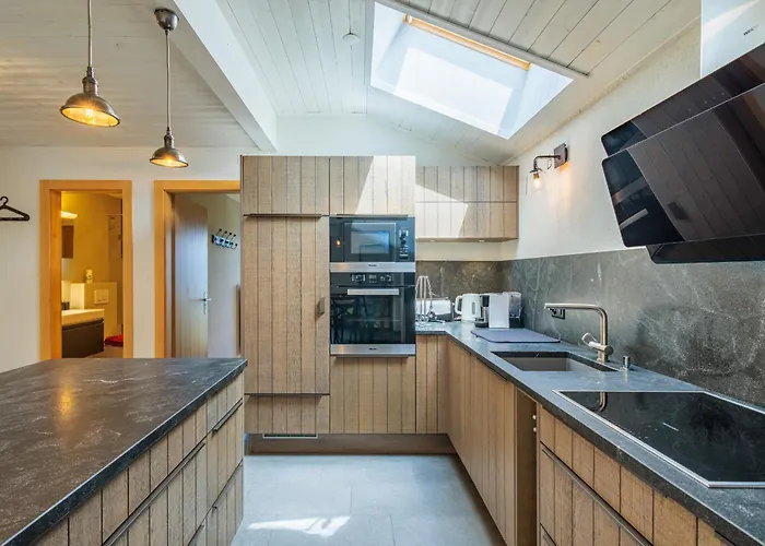 Marmottes 11 - 10 Pers - Duplex 公寓 南达